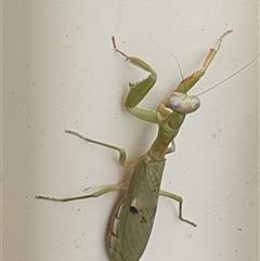 Unverified at suppressed - suppressed