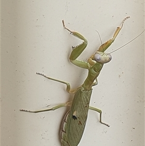 Unverified at suppressed - suppressed