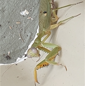 Unverified at suppressed - suppressed