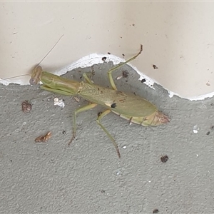 Unverified at suppressed - suppressed