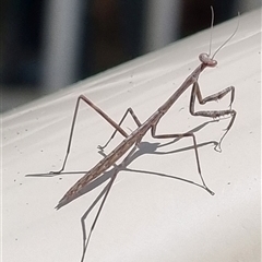 Unverified at suppressed - suppressed