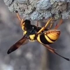 Unverified at suppressed - suppressed