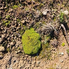 Unverified at suppressed - suppressed