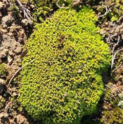 Unverified at suppressed - suppressed