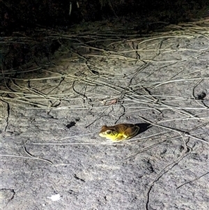 Unverified at suppressed - suppressed