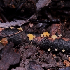 Unverified at suppressed - suppressed