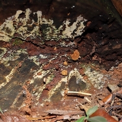 Unverified at suppressed - suppressed