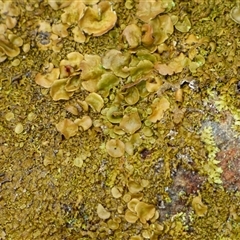 Unverified at suppressed - suppressed