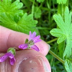 Unverified at suppressed - suppressed