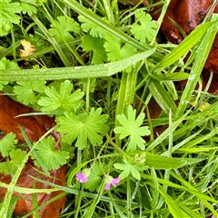 Unverified at suppressed - suppressed