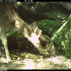 Unverified at suppressed - suppressed