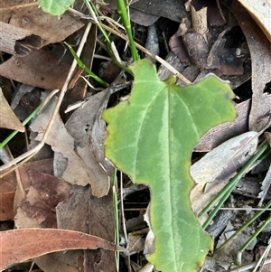 Unverified at suppressed - suppressed