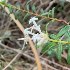 Unverified at suppressed - suppressed