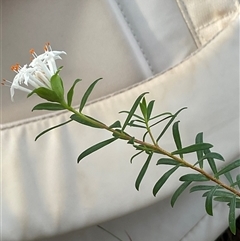 Unverified at suppressed - suppressed