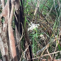 Unverified at suppressed - suppressed