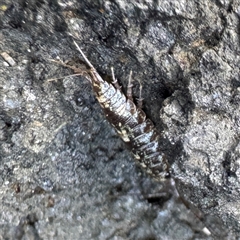 Unverified at suppressed - suppressed