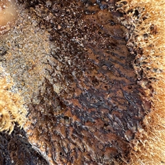 Unverified at suppressed - suppressed