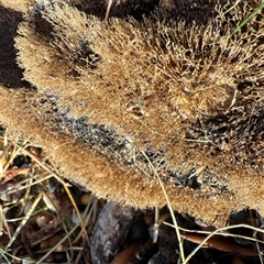 Unverified at suppressed - suppressed