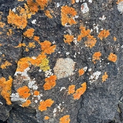 Unverified at suppressed - suppressed