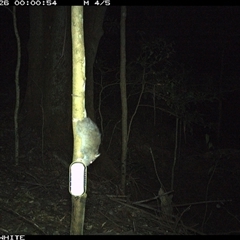 Unverified at suppressed - suppressed