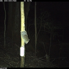 Unverified at suppressed - suppressed