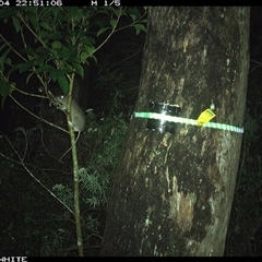 Unverified at suppressed - suppressed