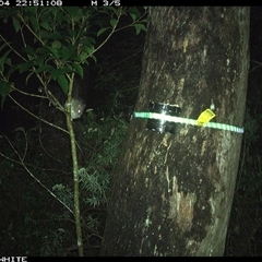 Unverified at suppressed - suppressed