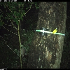 Unverified at suppressed - suppressed