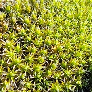 Unverified at suppressed - suppressed