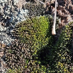 Unverified at suppressed - suppressed