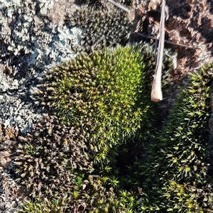 Unverified at suppressed - suppressed