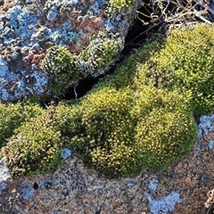 Unverified at suppressed - suppressed