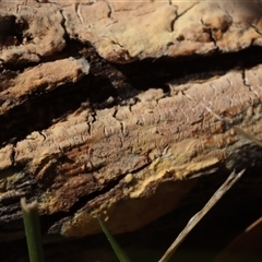 Unverified at suppressed - suppressed