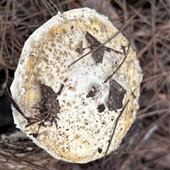 Unverified at suppressed - suppressed