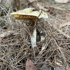 Unverified at suppressed - suppressed