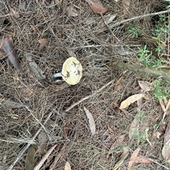 Unverified at suppressed - suppressed