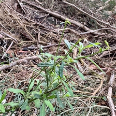 Unverified at suppressed - suppressed