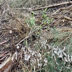 Unverified at suppressed - suppressed