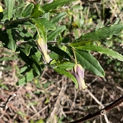 Unverified at suppressed - suppressed