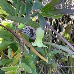 Unverified at suppressed - suppressed