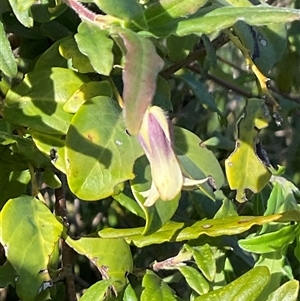 Unverified at suppressed - suppressed