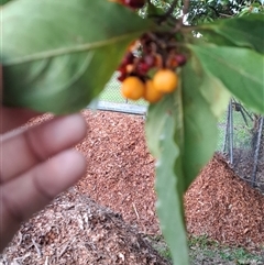 Unverified at suppressed - suppressed