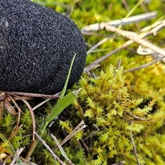 Unverified at suppressed - suppressed