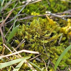 Unverified at suppressed - suppressed