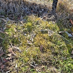 Unverified at suppressed - suppressed