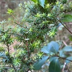 Unverified at suppressed - suppressed