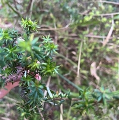 Unverified at suppressed - suppressed