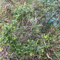 Unverified at suppressed - suppressed