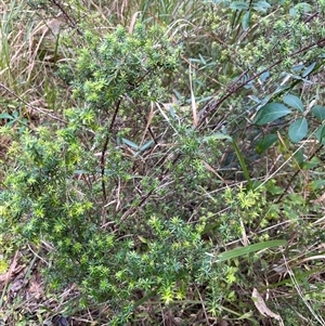 Unverified at suppressed - suppressed