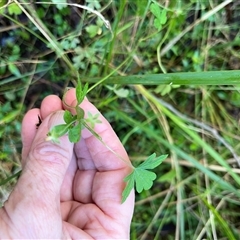 Unverified at suppressed - suppressed